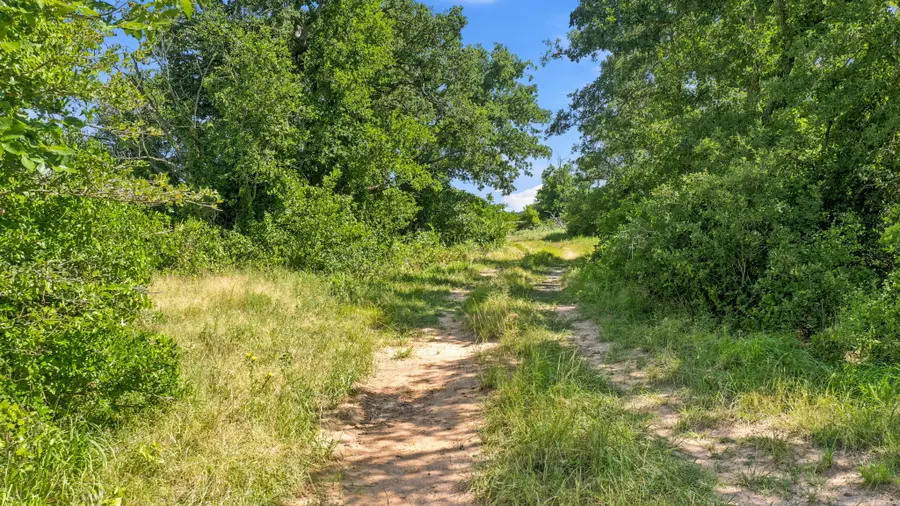 TBD Co Rd 290, Rising Star, TX 76471 - #2