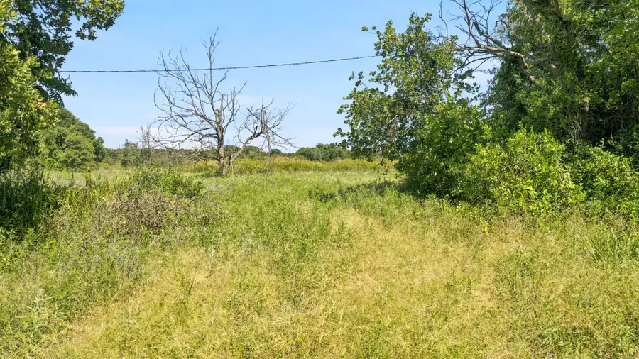 TBD Co Rd 290, Rising Star, TX 76471 - #3