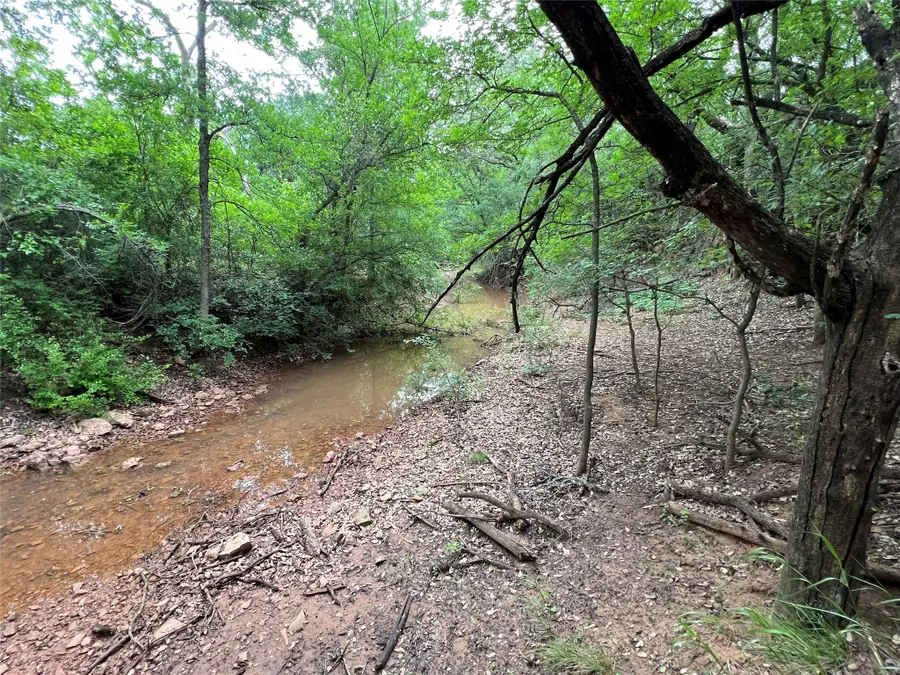 TBD County Road 137 Road, Cisco, TX 76437 - #2