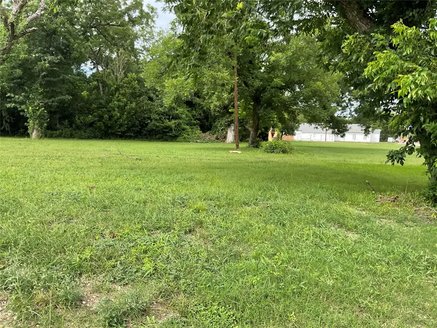 439 Dr Martin Luther King Jr Boulevard, Waxahachie, TX 75165 - #2