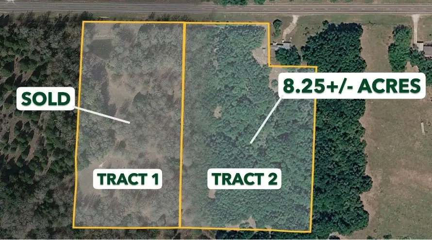 TRACT 2 tbd Fm 1365, Teague, TX 76667 - #1