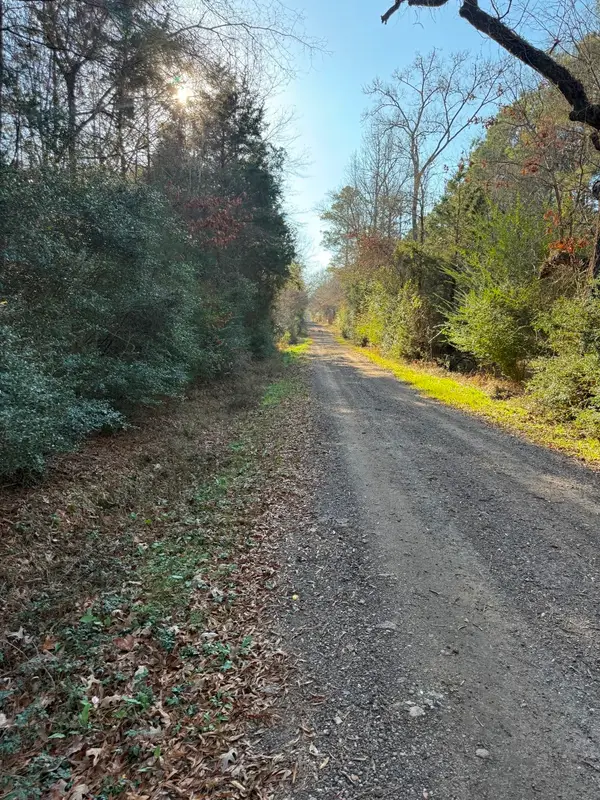 TBD-D County Road 216, Beckville, TX 75631