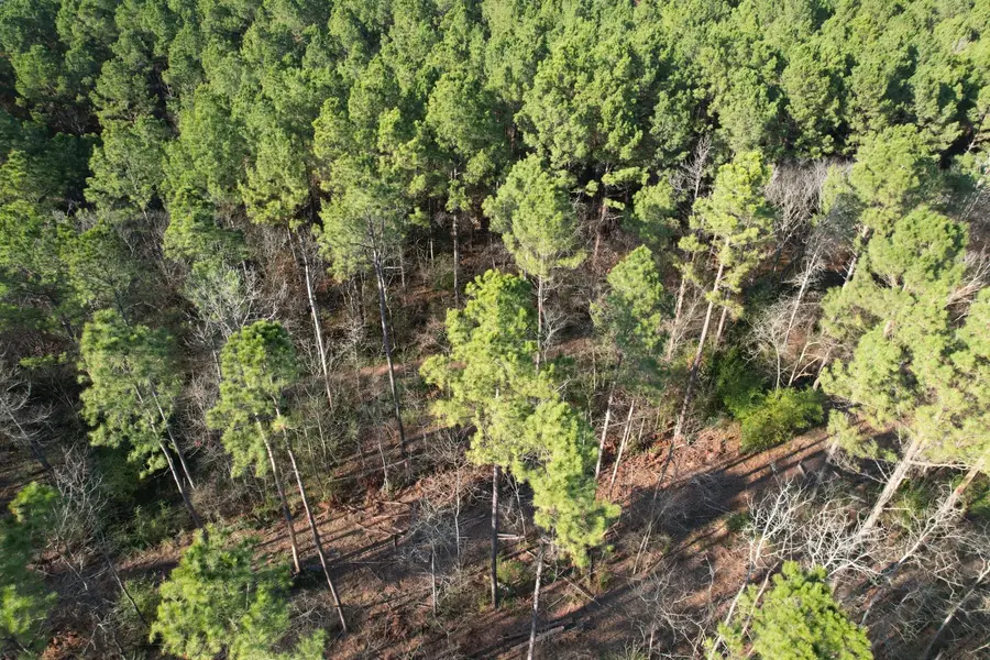 TBD-D County Road 216, Beckville, TX 75631 - #2