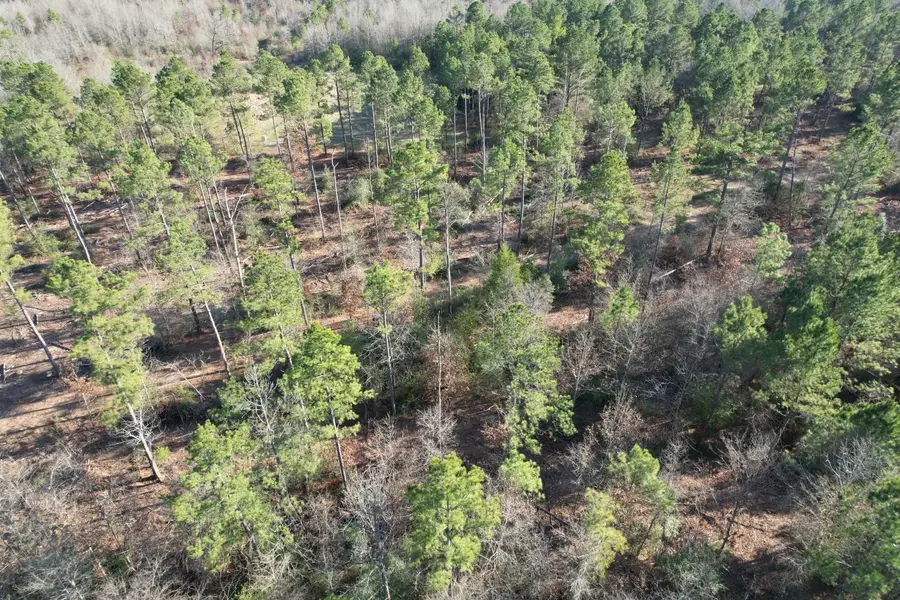 TBD-D County Road 216, Beckville, TX 75631 - #3