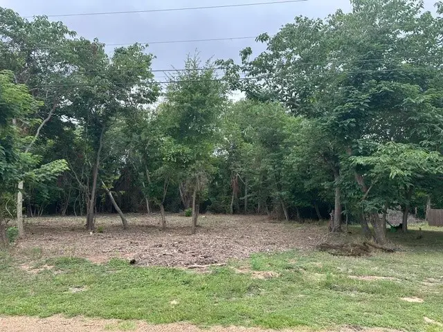 0 Oak Grove Drive, Trinidad, TX 75163 - #3