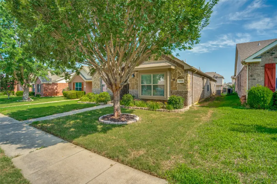 8835 Tucker Street, Cross Roads, TX 76227 - #3