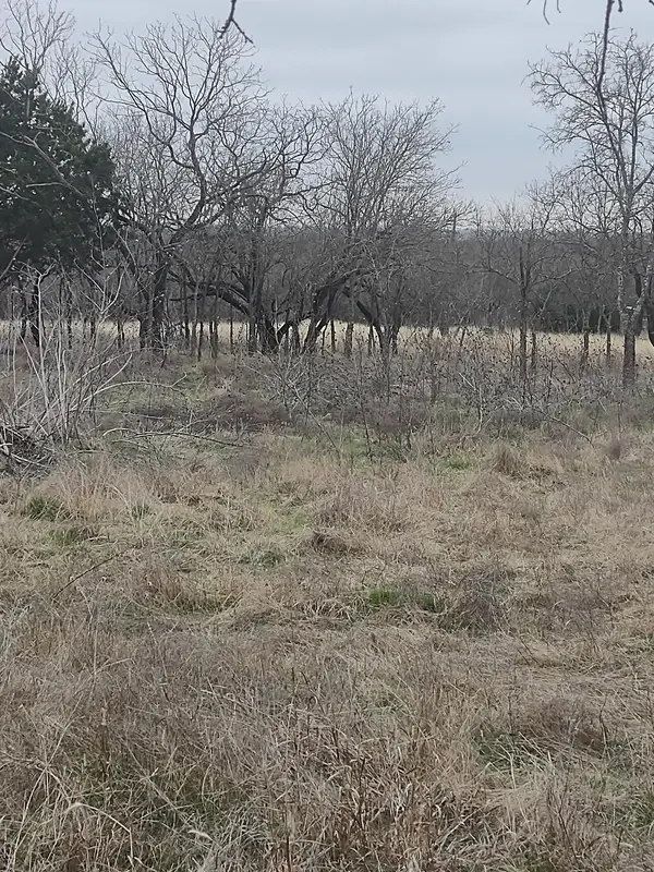 138 Pr 226 Road, Whitney, TX 76692