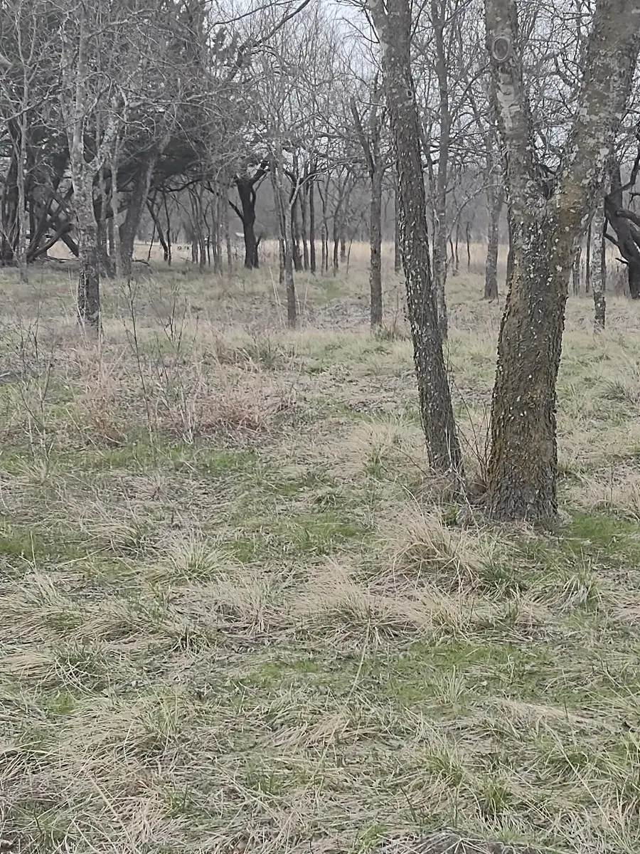 138 Pr 226 Road, Whitney, TX 76692 - #3