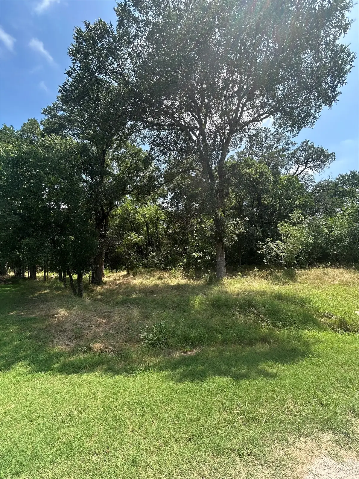 13011 Crestwood Drive, Whitney, TX 76692 - #1