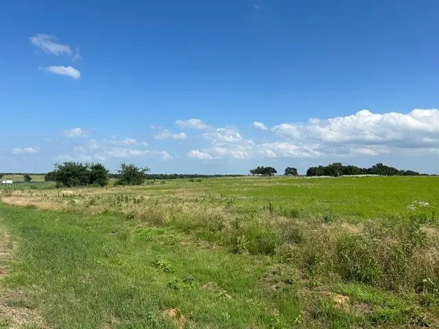 Lot 20 Monarch Court, Poolville, TX 76487 - #1