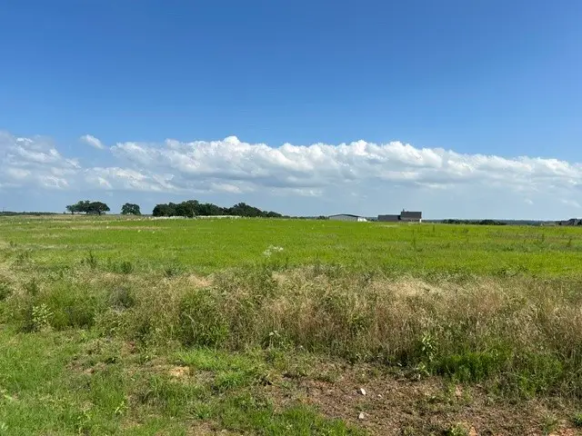 Lot 20 Monarch Court, Poolville, TX 76487 - #2