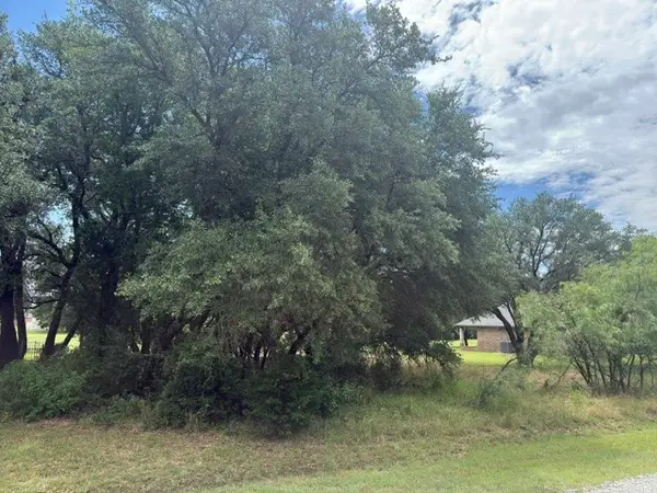 13025 Eagles Nest Drive, Whitney, TX 76692