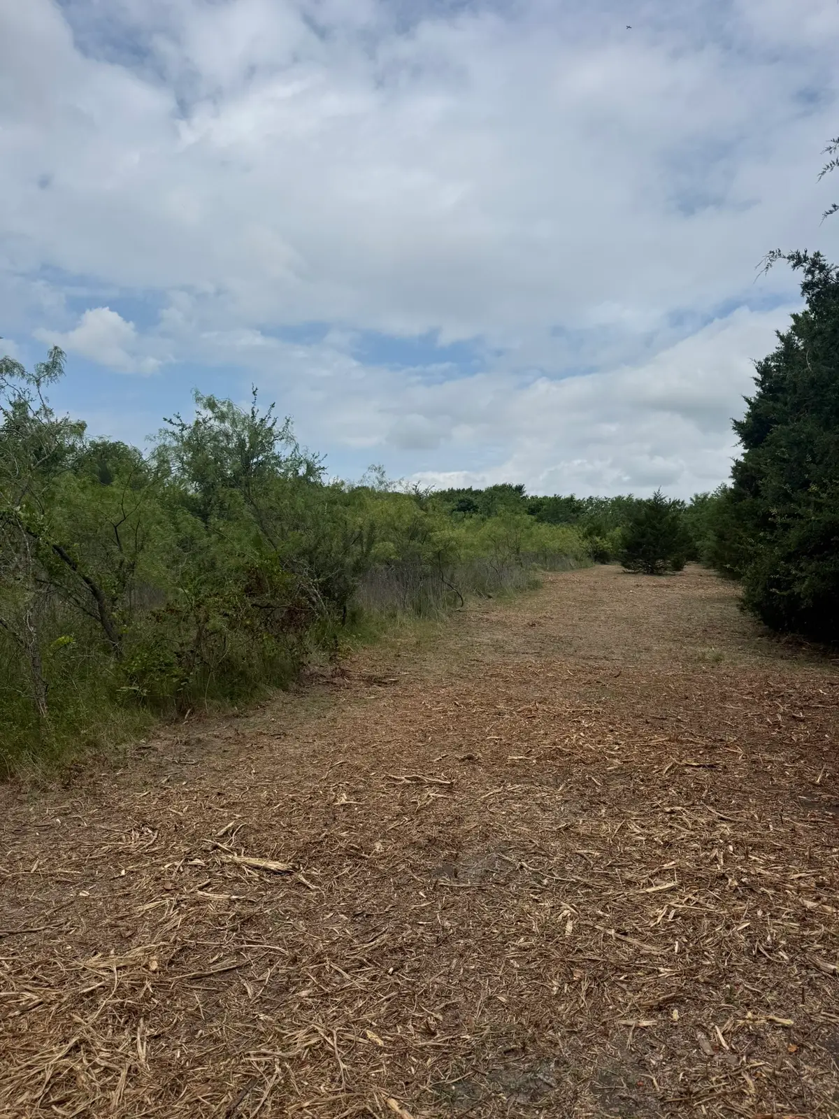 TBD Mcknight, Ellis, TX 75125 - #1