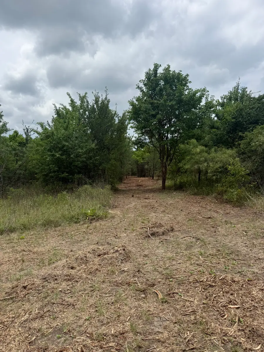 TBD Mcknight, Ellis, TX 75125 - #3