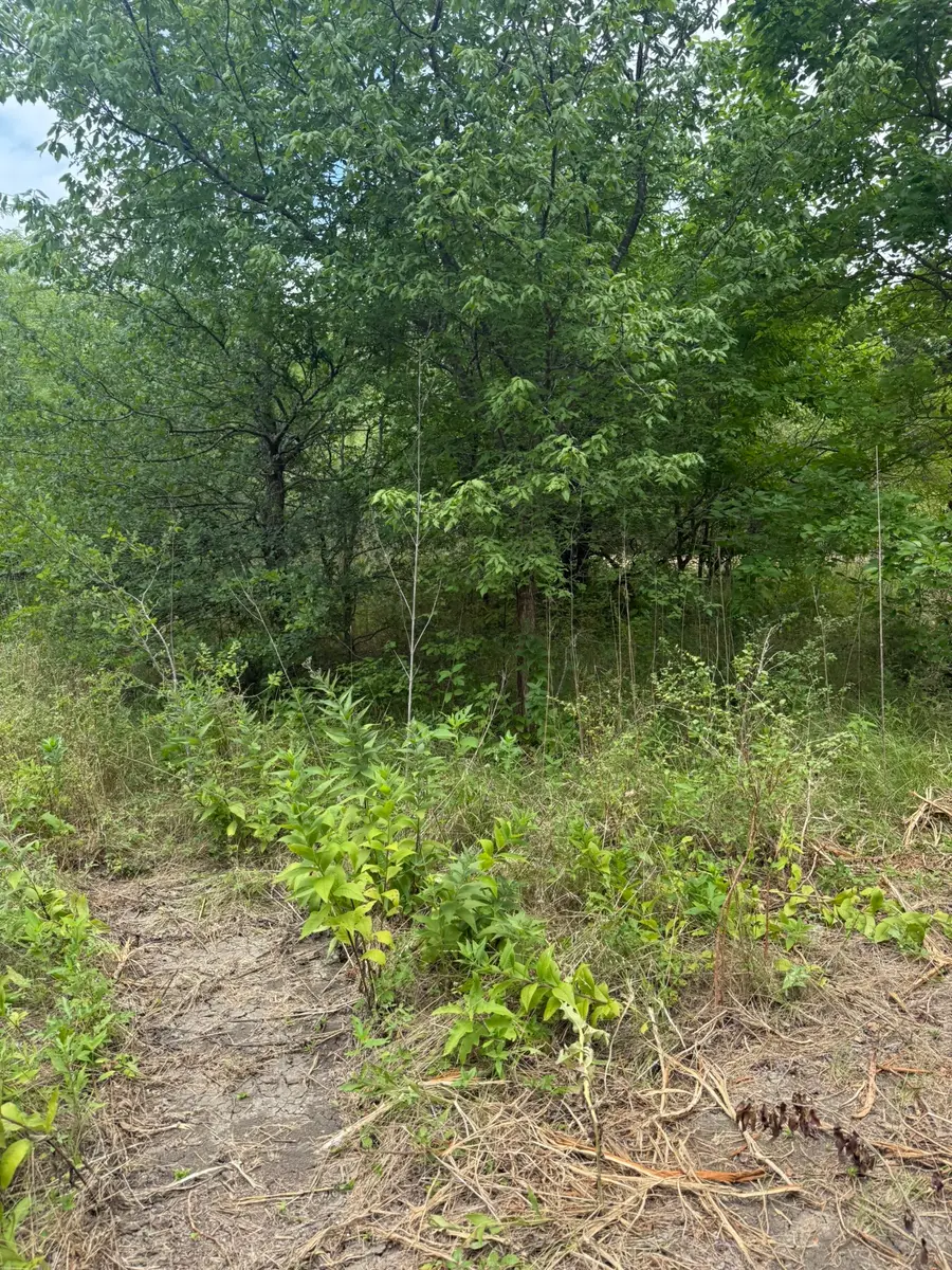 TBD 1.5 Mcknight, Ellis, TX 75125 - #2