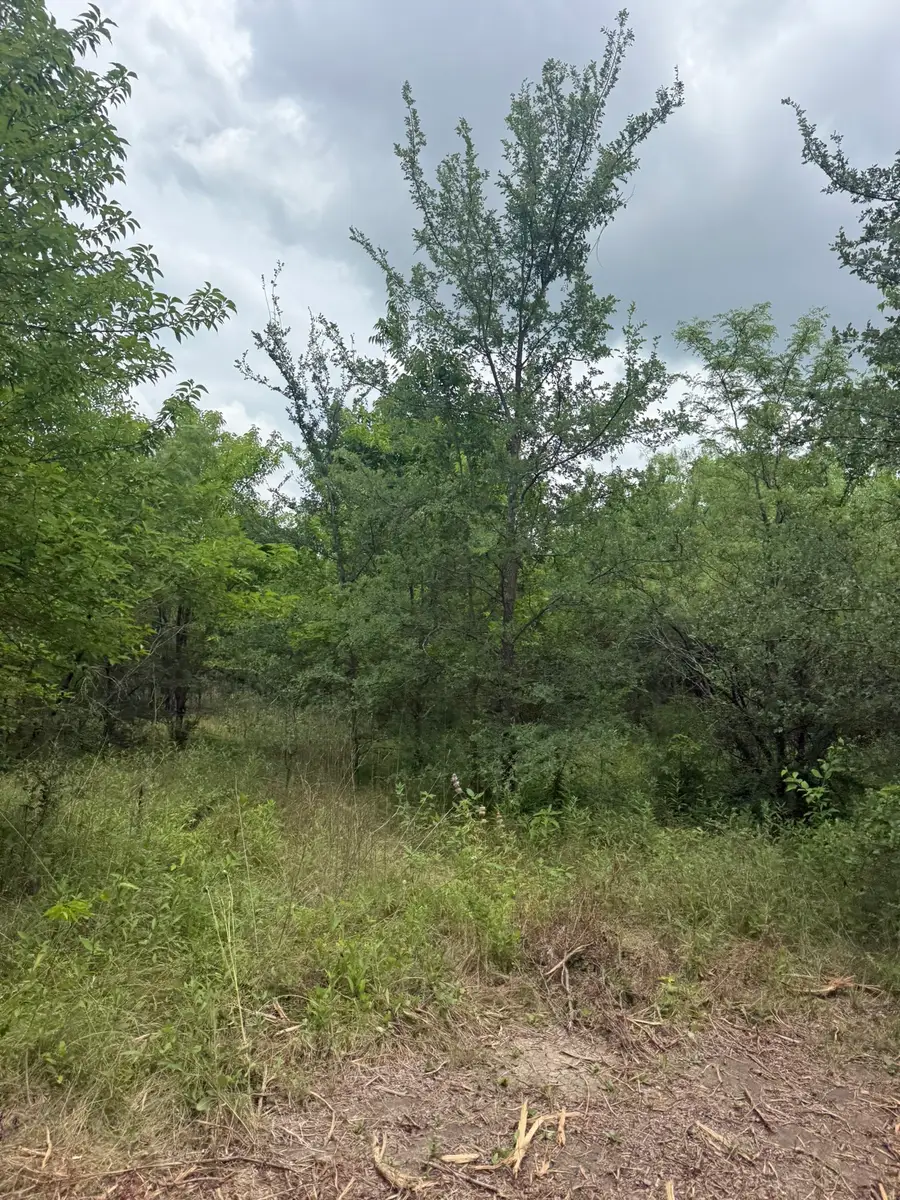TBD 1.5 Mcknight, Ellis, TX 75125 - #3