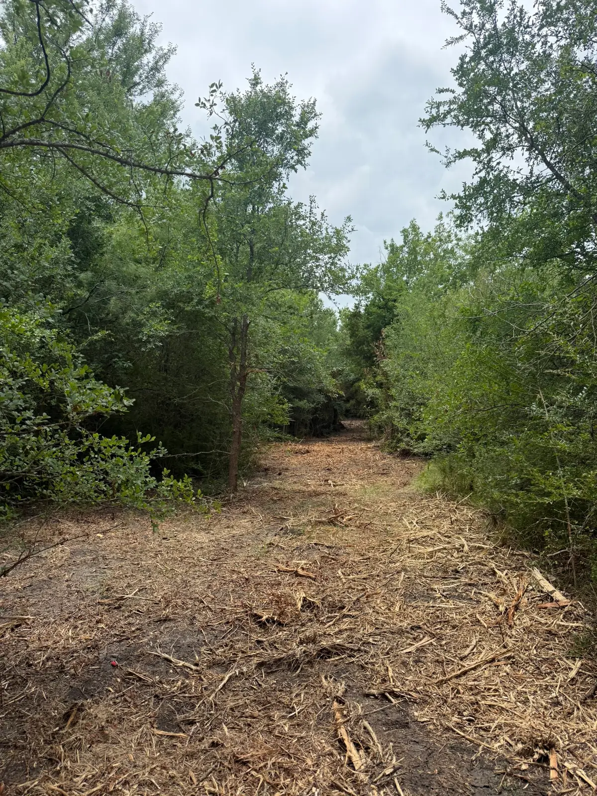 TBD 2 Mcknight, Ellis, TX 75125 - #1