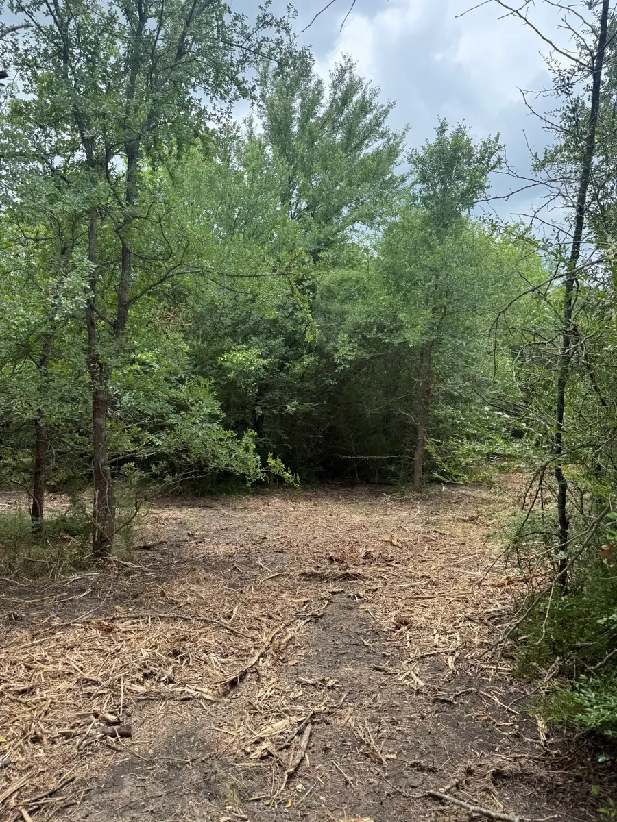 TBD 2 Mcknight, Ellis, TX 75125 - #3