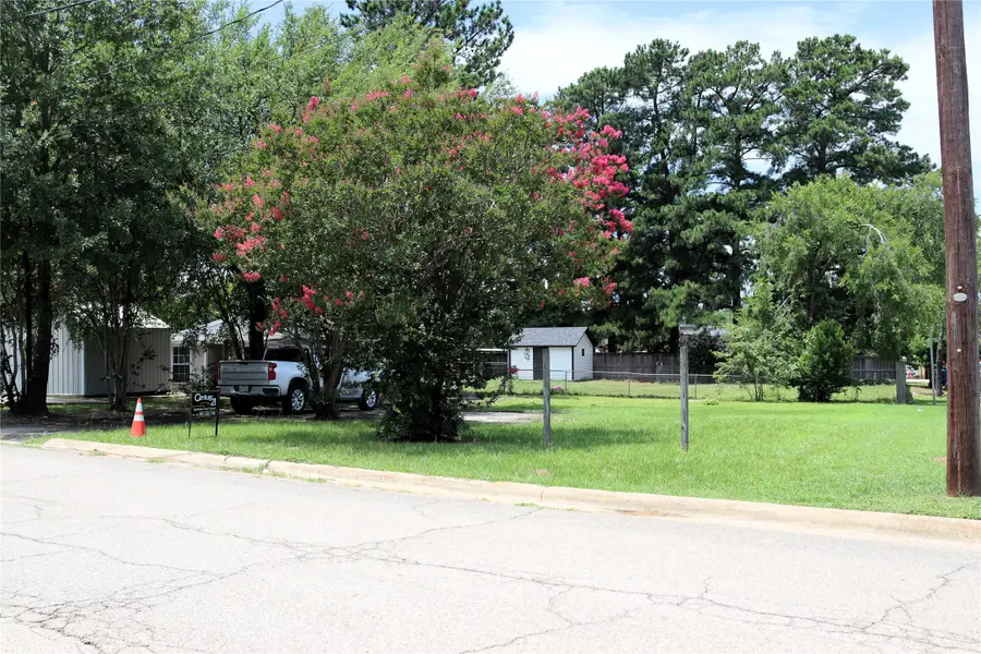 1151 N Newsom Street, Mineola, TX 75773 - #3