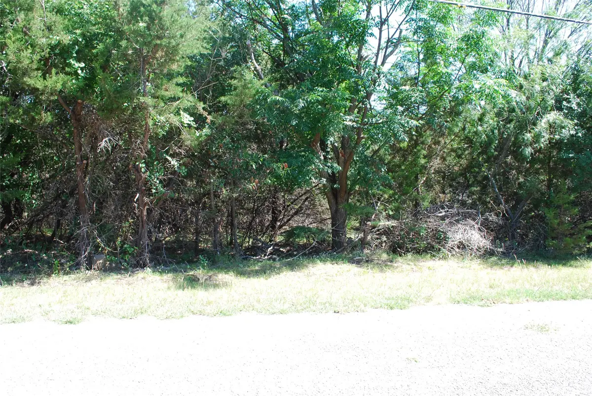 3045 Ash Court, Whitney, TX 76692 - #1