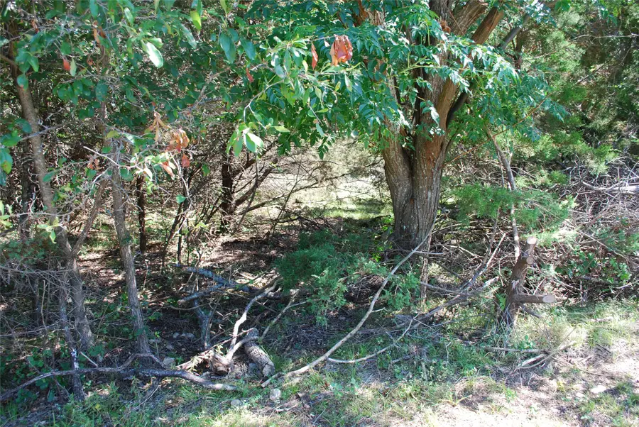 3045 Ash Court, Whitney, TX 76692 - #3