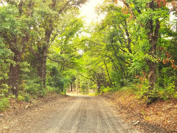 Lot 465 Cr-4710, Larue, TX 75770