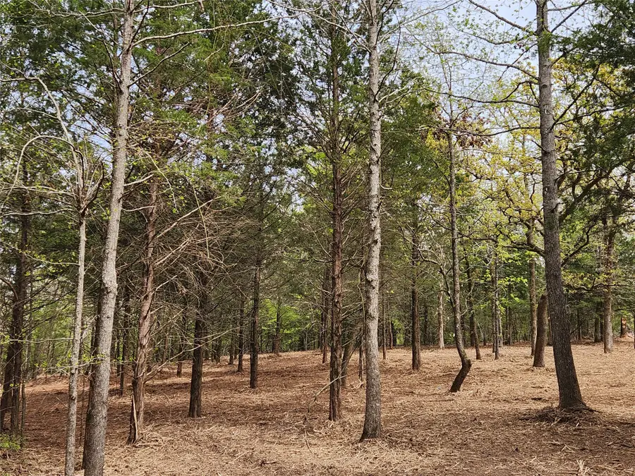 Lot 465 Cr-4710, Larue, TX 75770 - #2