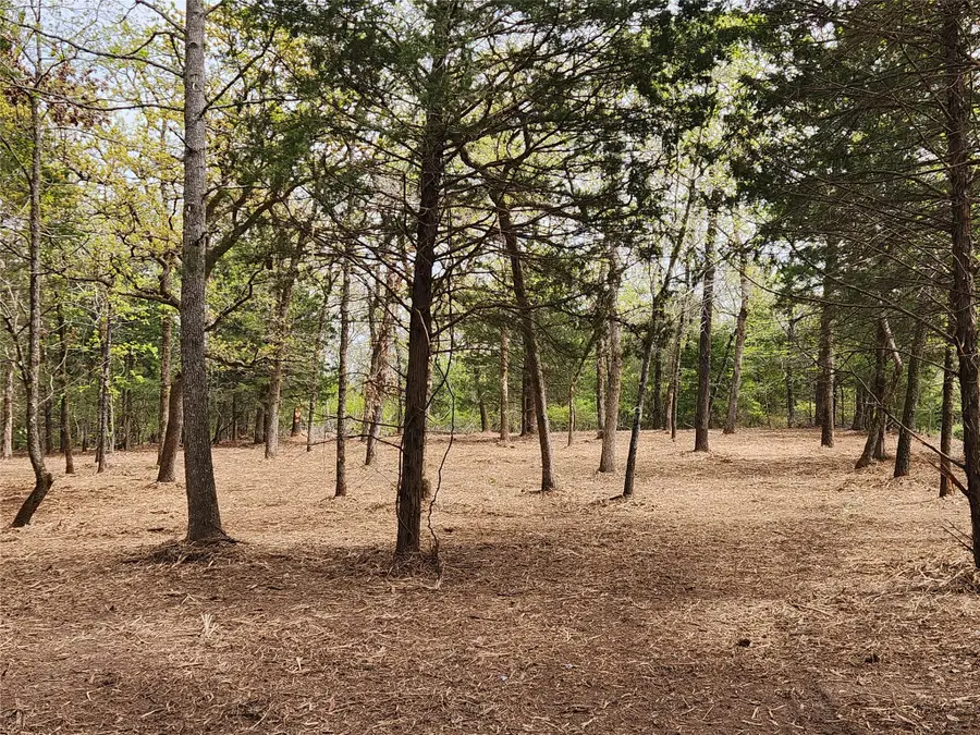 Lot 465 Cr-4710, Larue, TX 75770 - #3