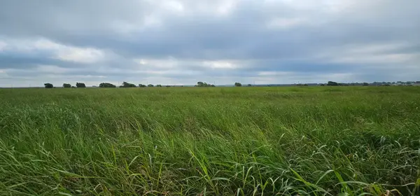 TBD St Hwy 81 Highway, Itasca, TX 76055