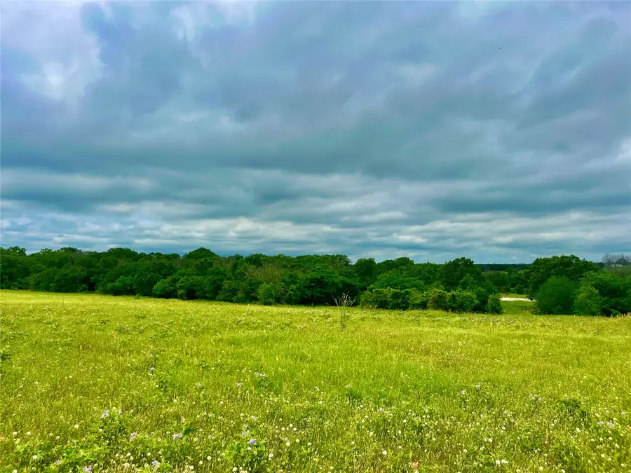 Lot 10 Clare Rd, Poolville, TX 76487 - #2