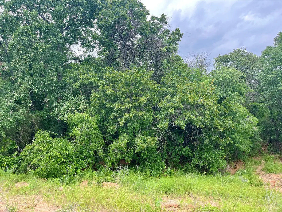 Lot 18 Kilkenny, Poolville, TX 76487 - #1
