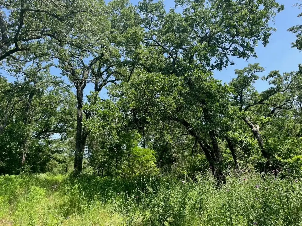 Lot 44 Antrim Court, Poolville, TX 76487 - #1