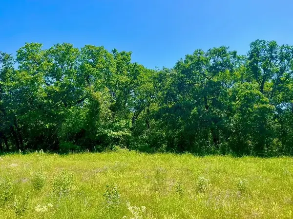 Lot 40 Kilkenny Road, Poolville, TX 76487