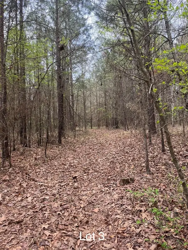 0 Crouch Road #3, Benton, LA 71006