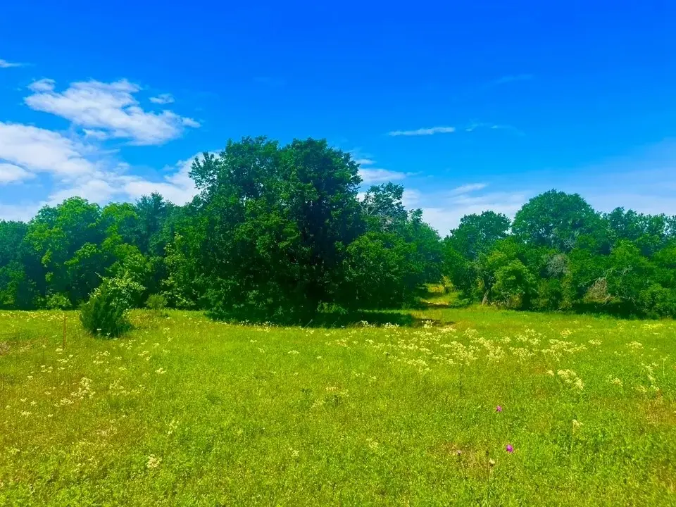Lot 100 Arlow Road, Poolville, TX 76487 - #1