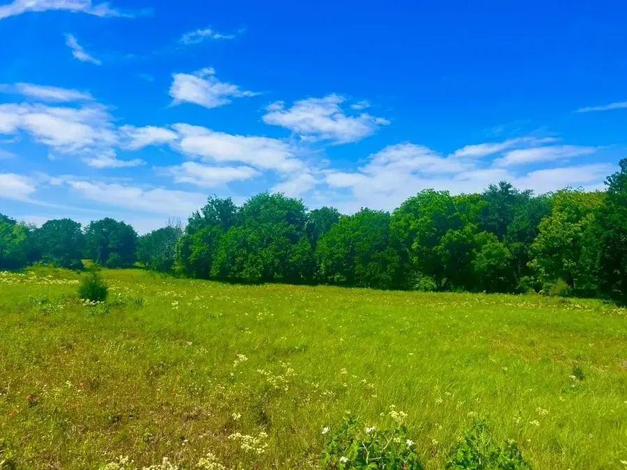 Lot 100 Arlow Road, Poolville, TX 76487 - #2