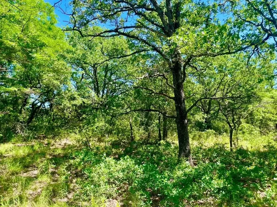 Lot 39 Kilkenny Road, Poolville, TX 76487 - #1