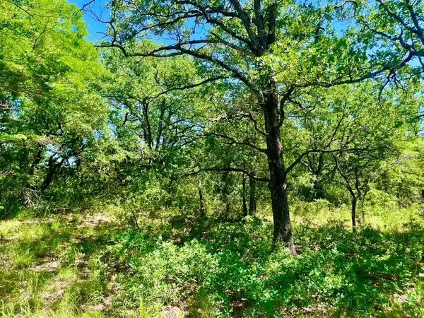 Lot 39 Kilkenny Road, Poolville, TX 76487