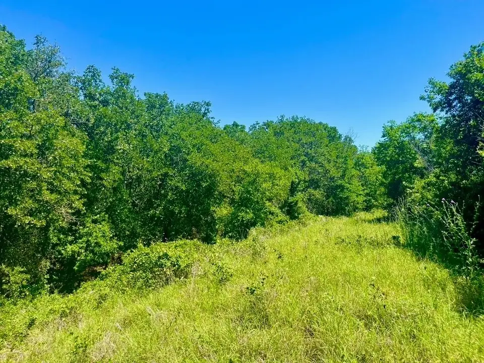 Lot 35 Galway Road, Poolville, TX 76487 - #1