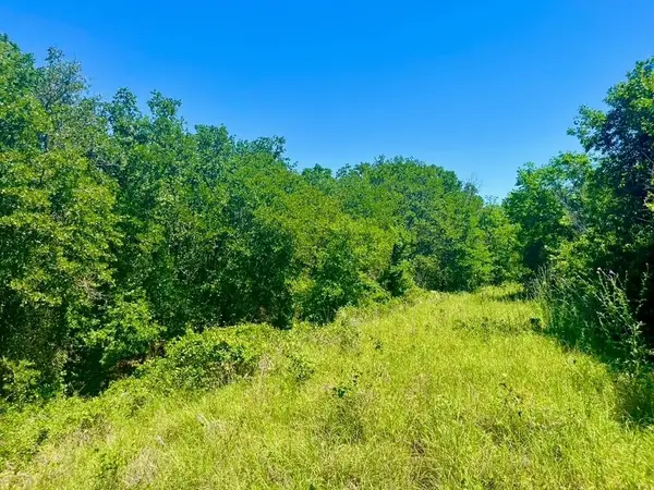 Lot 35 Galway Road, Poolville, TX 76487