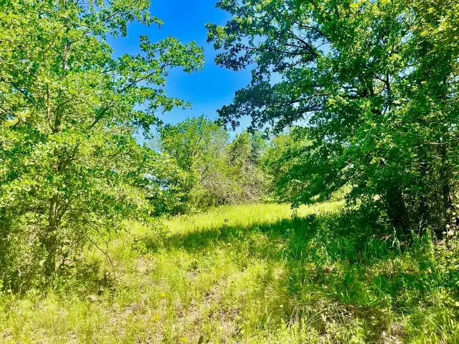 Lot 35 Galway Road, Poolville, TX 76487 - #2