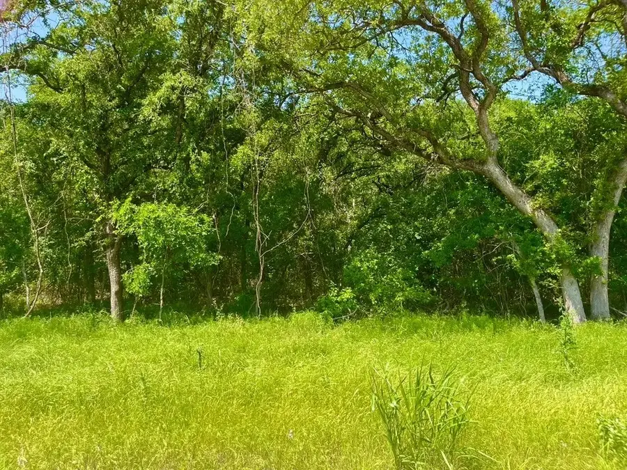 Lot 48 Antrim Court, Poolville, TX 76487 - #2