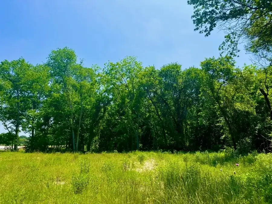 Lot 46 Antrim Court, Poolville, TX 76487 - #2