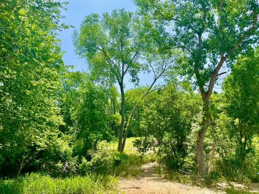 Lot 46 Antrim Court, Poolville, TX 76487 - #3