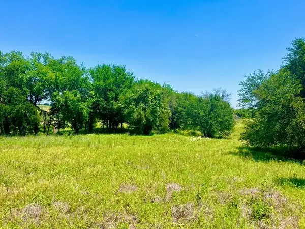 Lot 89 Kerry Court, Poolville, TX 76487