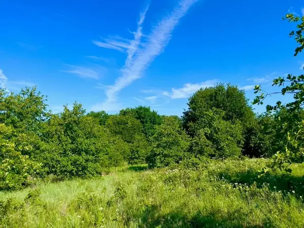 Lot 53 Wicklow Court, Poolville, TX 76487