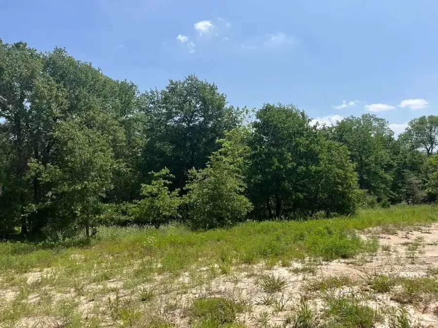 Lot 45 Antrim Ct, Poolville, TX 76487 - #2