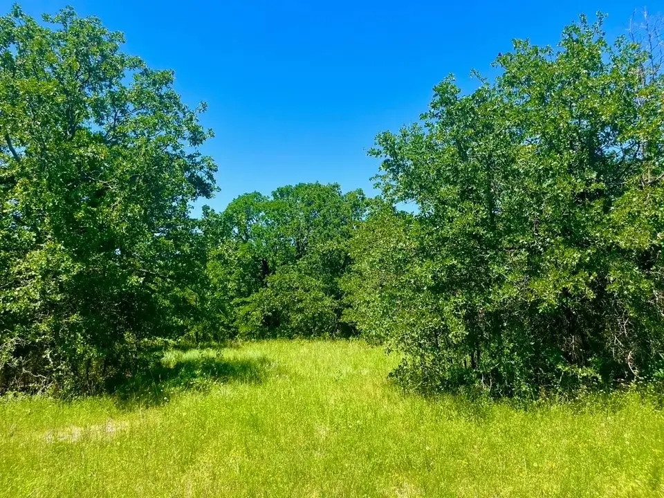 Lot 34 Galway Rd, Poolville, TX 76487 - #1