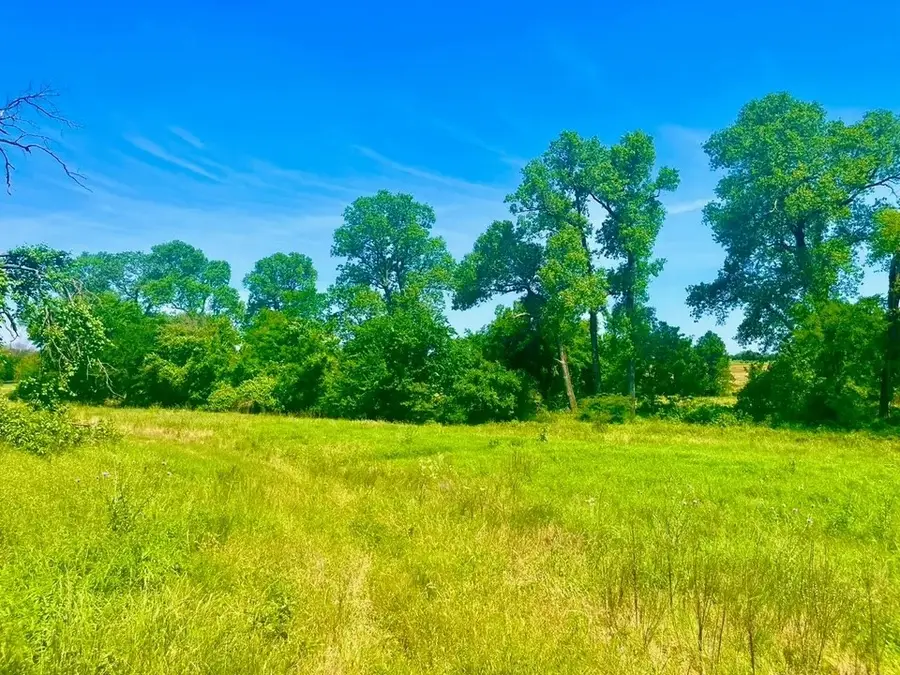 Lot 93 Kerry Ct, Poolville, TX 76487 - #2