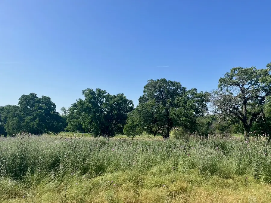 Lot 75 Kilkenny Road, Poolville, TX 76487 - #2